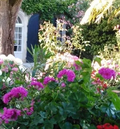 Les Hortensias - D'hotes * Saint-Antoine-de-Breuilh